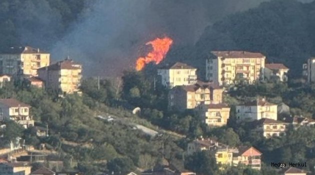 KDZ. EREĞLİ'DE ORMAN  YANGINI