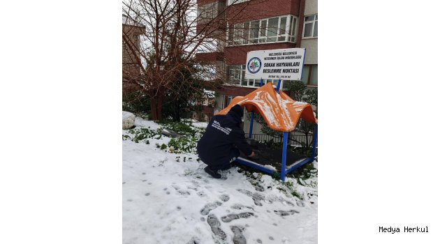 KDZ. EREĞLİ’DE SOKAK HAYVANLARI UNUTULMADI