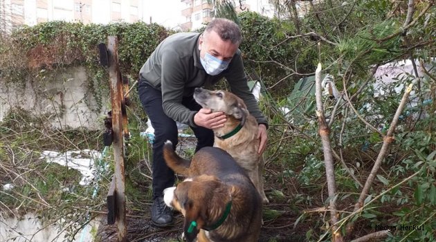 SOYADI GİBİ MELEK DOKTOR