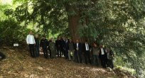 VALİ HACIBEKTAŞOĞLU, 4 BİN 121 YAŞINDAKİ ANIT AĞACI ZİYARET ETTİ