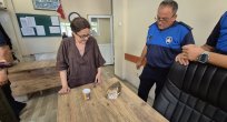 ALAPLI’DA YARALI BAYKUŞ KORUMA ALTINA ALINDI